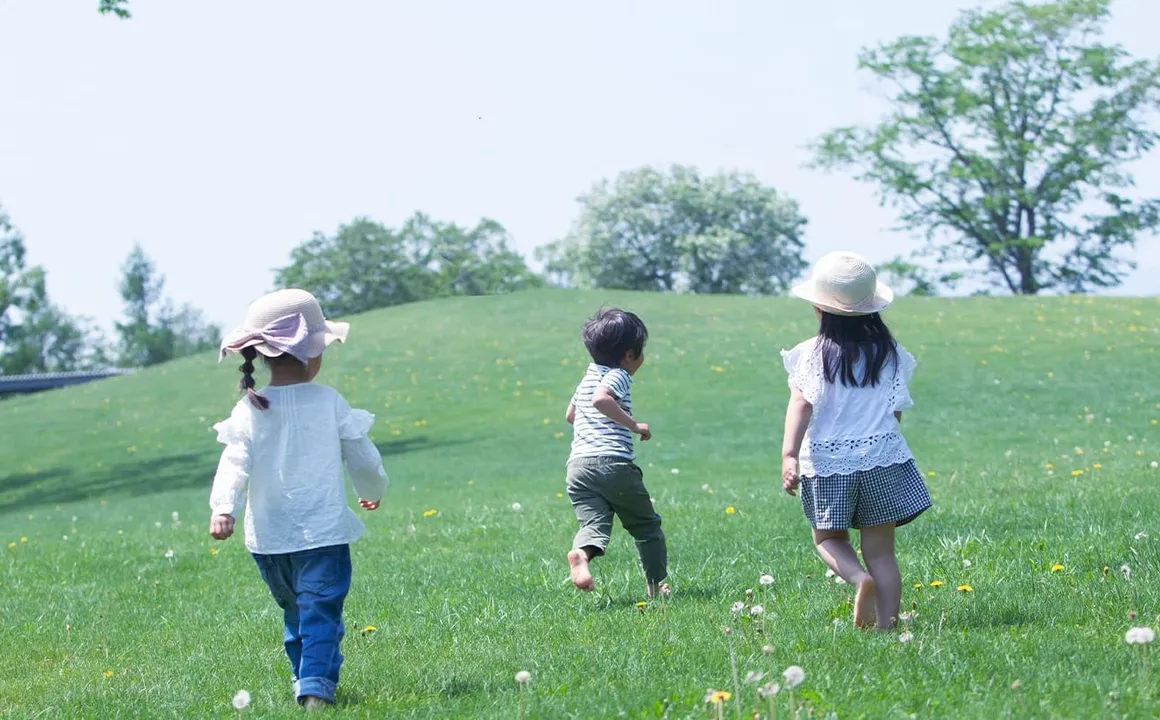 芝生の丘を走る3人の子どもたちの後ろ姿